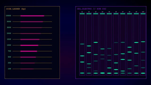 Digital bioinformatics interfaces showing electrophoresis gel bands of dna fragments as a sequence analysis display rendered in a dark neon glowing style for scientific visual data