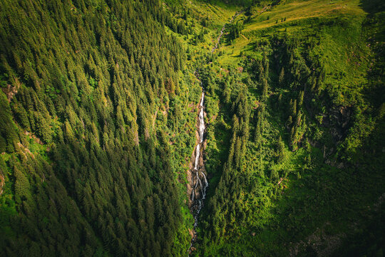 Aerial view of a waterfall cascading through a dense coniferous forest in the Fagaras Mountains near Negoiu Peak in Porumbacu de Jos, Sibiu, Romania.