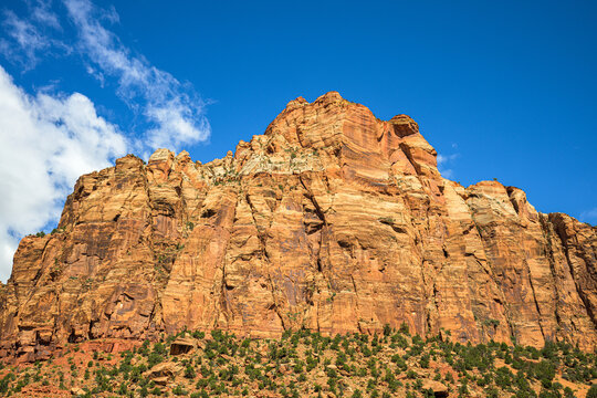 Massive sandstone cliffs rising under a clear blue sky in Zion National Park