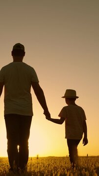 Kid father walks through meadow sunset. Dad, little son. Parent dad, child boy walking together outdoors. Happy family, travel, sunset. Family education. Dad little son walk outdoors sun rays, field