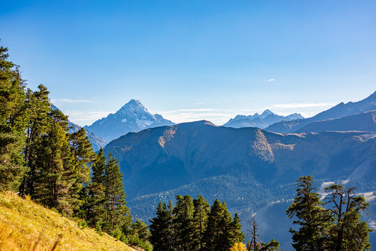 Horizontal caucasus mountain view framed by pine trees under clear blue sky in Arkhyz Karachay Cherkessia Russia.