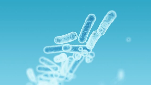 Enterobacteriaceae, gram-negative rod-shaped bacteria, part of intestinal microbiome and causative agents of different infections, 3D rendering. Escherichia coli, Klebsiella, Enterobacter and other	