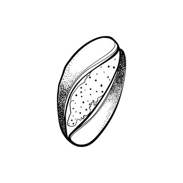 Hand drawn sketch of bread with coffee bean shape using line art and point by point sketch style
