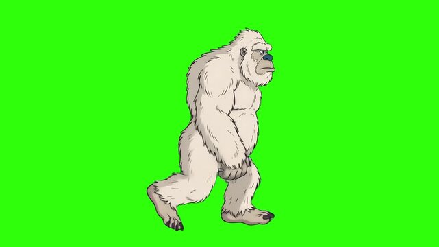 A stylized white Yeti or Abominable Snowman character walking across a green screen background. This isolated creature graphic is perfect for folklore, fantasy, or adventure-themed digital projects.