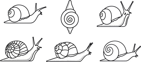 Six snails are illustrated in various positions and views on a plain surface © Mewtwo