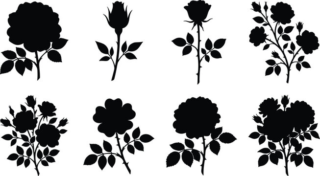 Elegant Rose Flower Silhouettes Collection for Botanical and Decorative Design