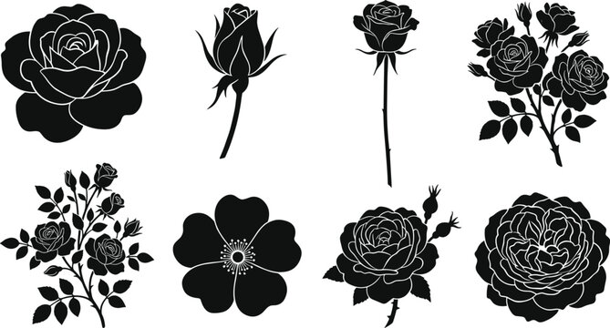 Variety of Rose Flower Silhouettes Showing Buds, Blooms, and Botanical Styles