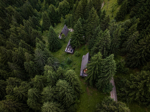 Aerial view of A-frame cabins nestled within a dense pine forest in the Carpathian Mountains, Sirnea, Brasov, Romania.