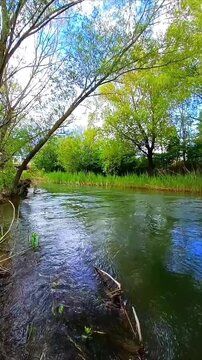 Peaceful River Flowing Through Green Forest in Spain