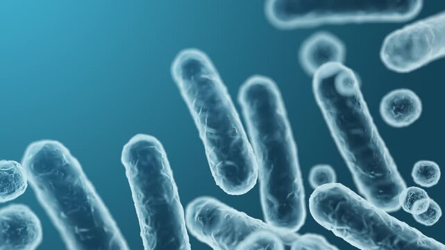 Enterobacteriaceae, gram-negative rod-shaped bacteria, part of intestinal microbiome and causative agents of different infections, 3D rendering. Escherichia coli, Klebsiella, Enterobacter and other	