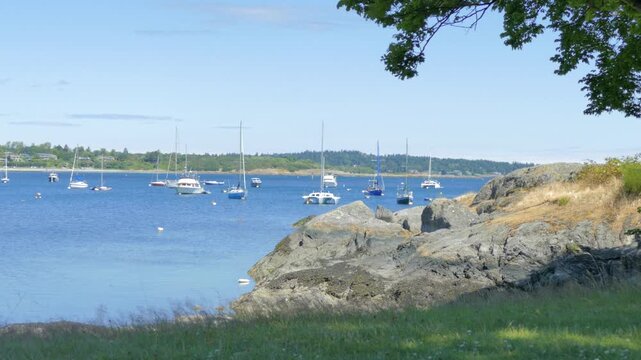 Oak Bay, BC, Canada &ndash; July 4, 2026: Sailboats anchored at Cattle Point shoreline