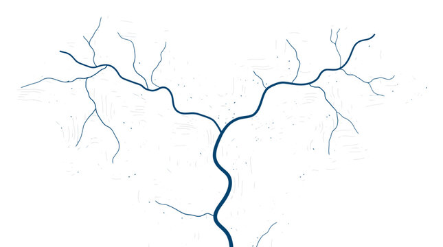 Abstract illustration of a branching river system with tributaries.