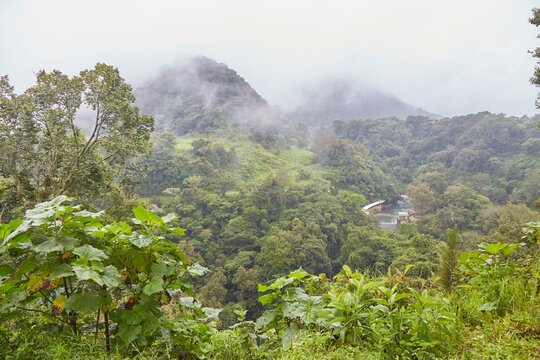 The lush 500 Steps area of Orizaba, Veracruz