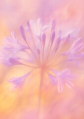 Obraz premium Dreamy floral pastel elegance.