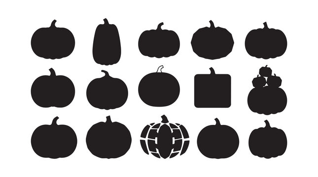 Flat lay collection of autumn pumpkins and gourds in rustic brown tones
