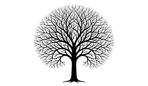 Bare tree silhouette isolated on white background flat minimalist leafless winter branch vector illustration family genealogy logo design