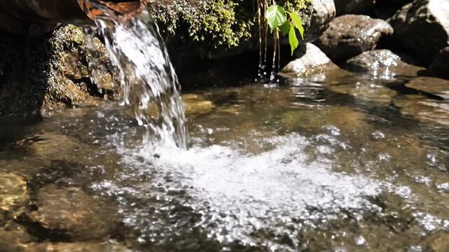 Water flows from rocks into a serene natural pond surrounded by lush greenery and large stones.