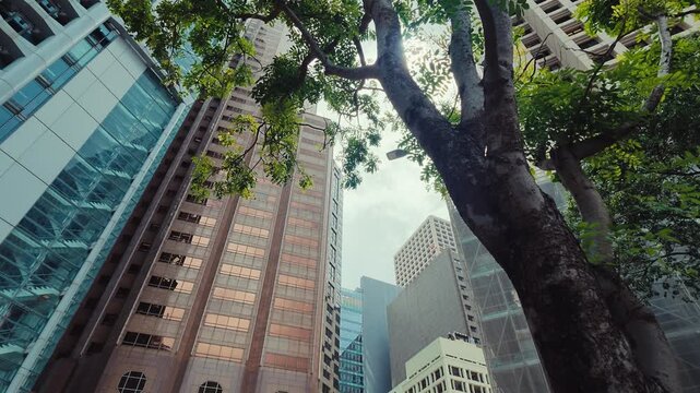 A dynamic urban landscape from a low-angle perspective featuring towering skyscrapers and a dominant tree in Hong Kong's skyline
