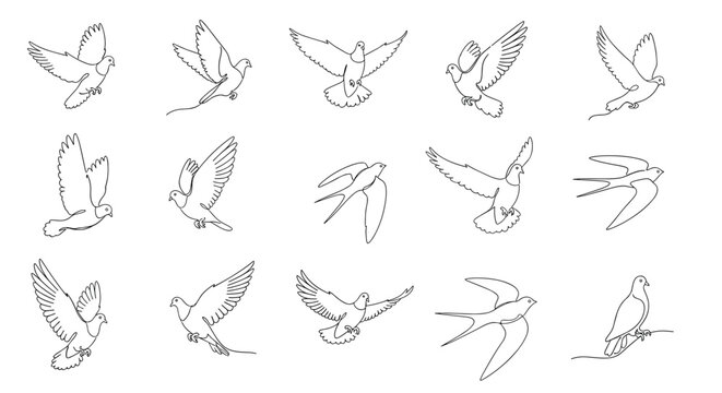 Large set of elegant line drawings featuring different types of birds in flight including doves and swallows in various graceful gliding poses.