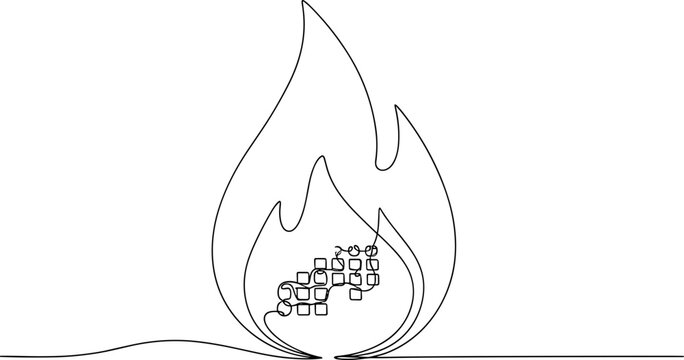 Digital Data Burning in Flames: Concept of Information Overload or Data Loss