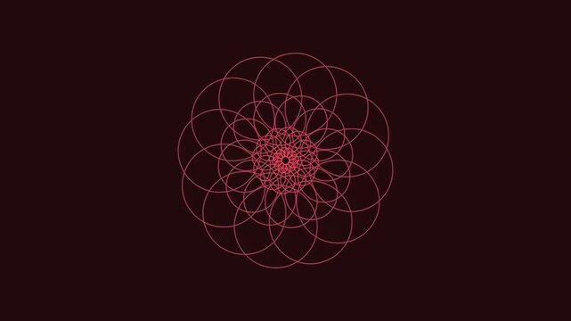 Intricate geometric mandala design with overlapping circular patterns