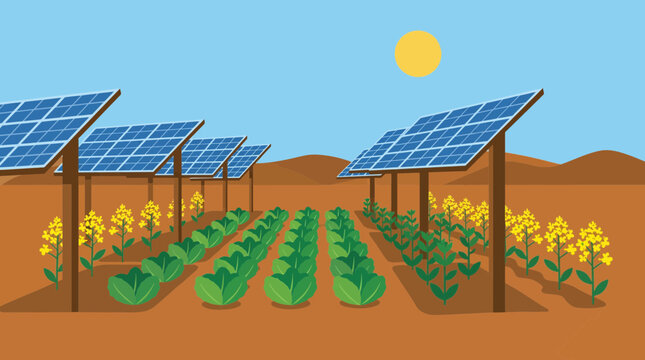 Agrivoltaics Solar Panels Over Crops Dual Land Use