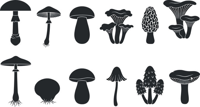 Wild mushroom silhouette collection featuring edible forest fungi morel chanterelle toadstool and botanical black vector illustration
