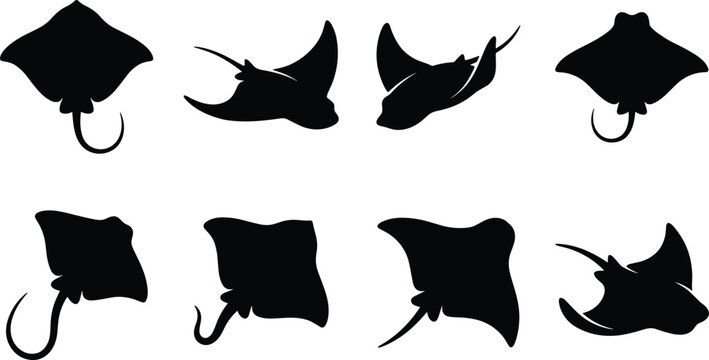 Black silhouettes of various stingrays on white background marine animals