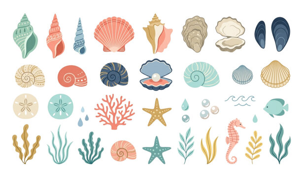 Coastal Seashells Vector Pack