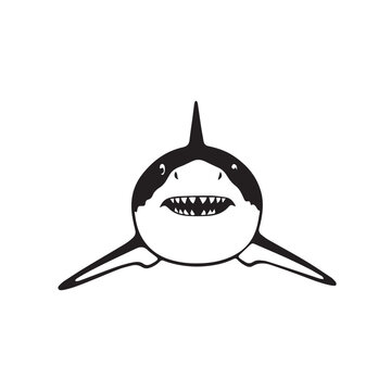 vector illustration of a cartoon shark