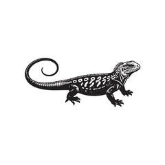 Fototapeta premium lizard on white background