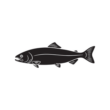 flounder fish on a white background