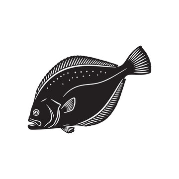 flounder fish on a white background