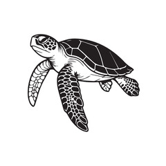 Fototapeta premium vector illustration of a turtle