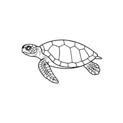 Fototapeta premium turtle vector illustration