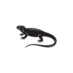 Fototapeta premium lizard on white background
