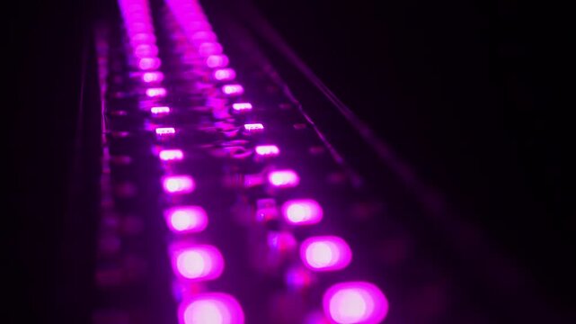 Artificial led lights display for plants in aquarium used for terrarium garden glass mini greenhouse and fish tanks. Applications for hobbies of small animals and insects lizards frogs and fish.