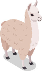 Naklejka premium Fluffy beige llama standing on a grey shadow isolated on transparent background