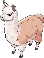 Naklejka premium Fluffy white and beige alpaca standing alert isolated on transparent background