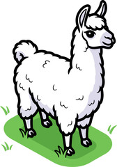Naklejka premium Fluffy white llama standing on a green isometric grass patch isolated on white