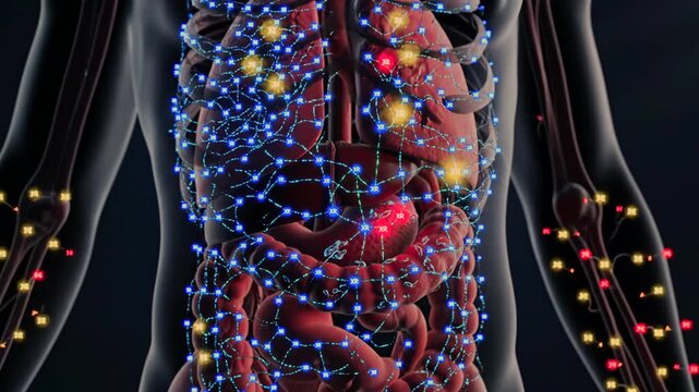 gut network mapping reveals microbial signals across intestine with blue and green nodes, torso data overlay, enteric connectivity lines, realtime analytics and sensor traces