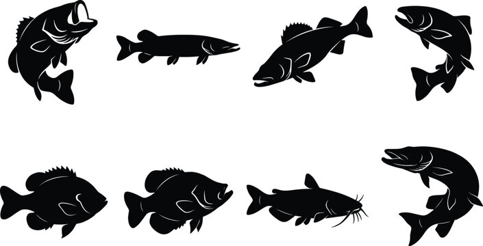 Freshwater Fish Silhouette Collection with Bass Pike Walleye Catfish and Panfish Vector Set