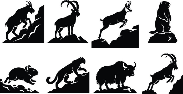 Mountain A Icon Set Featuring Ibex Yak Snow Leopard Chamois and Marmot