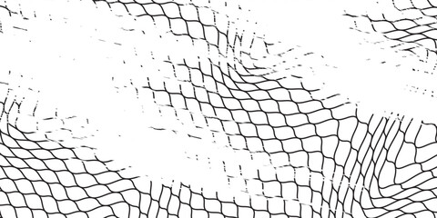 Curved fishing net or soccer ball. Wire or lace pattern. Black net texture isolated on a white background. Metal or fabric fence, fishing net, cage, or lattice structure. Vector illustration.eps 10 © liliskarlina