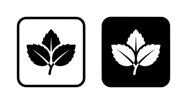 Mint leaf icons in square frames set for organic food and natural medicine branding