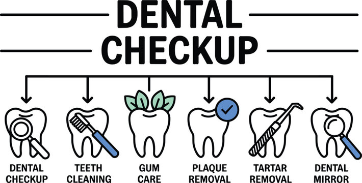 Dental checkup infographic flowchart vector displaying oral hygiene options like plaque removal cleaning and tartar scaling treatment