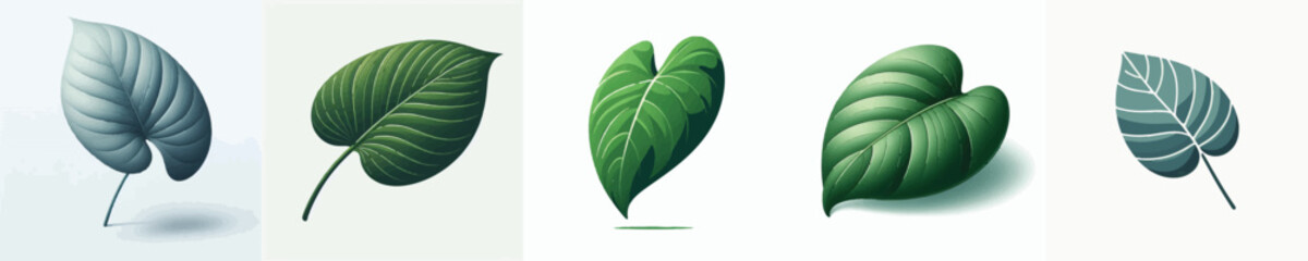 Philodendron Leaf Vector Illustration © Fajar