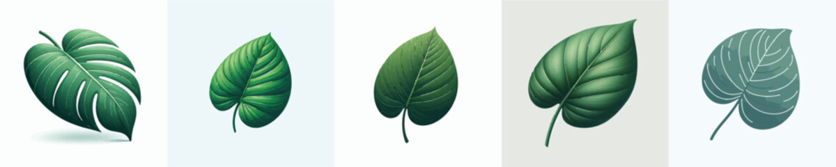 Philodendron Leaf Vector Illustration © Fajar
