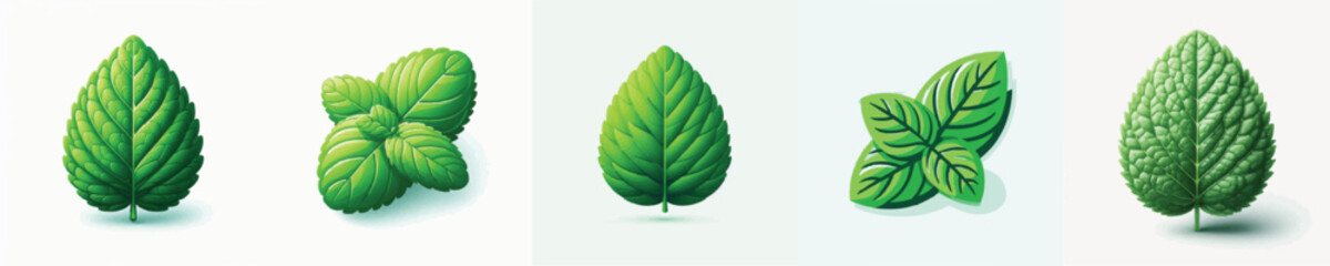 Mint Leaf Vector Illustration © Fajar