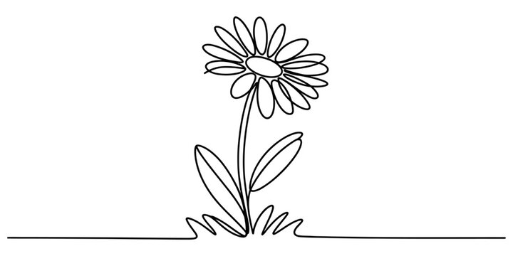 Continuous single line drawing of a simple daisy flower with petals and leaves in a minimalist art style